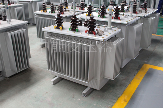 铜川S22-100KVA/10KV/0.4KV变压器